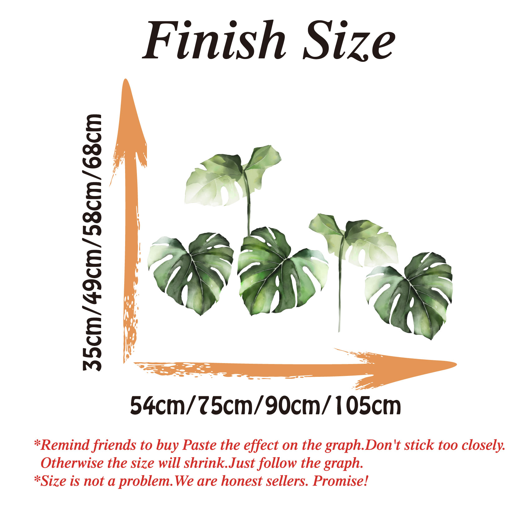สีน้ํา Monstera Tropical Jungl - Monstera Thai Constellation บทวิจารณ์และราคา