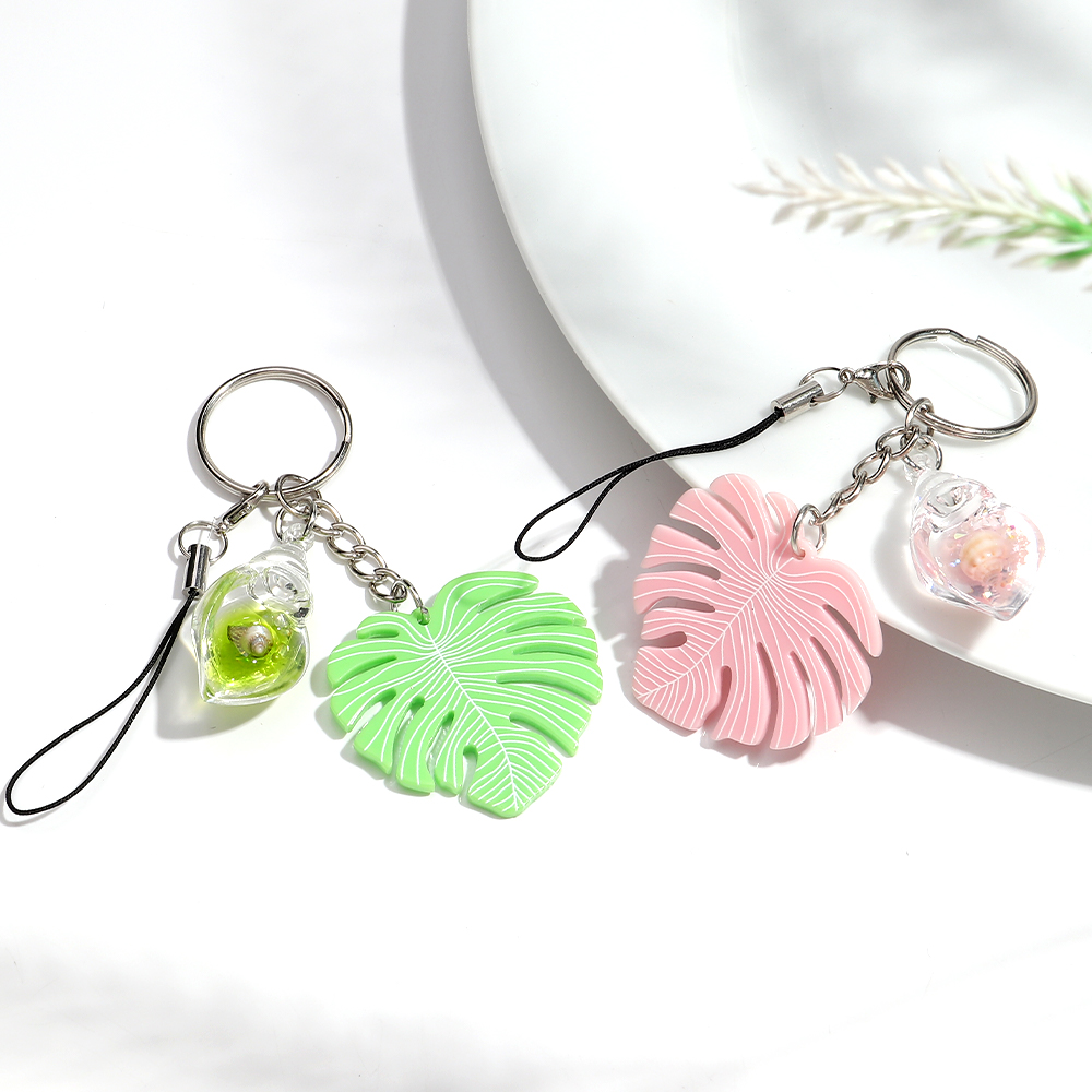 Bohomia อะคริลิค Monstera โปร่ - Monstera Thai Constellation บทวิจารณ์และราคา